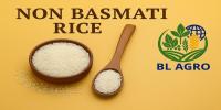 NON BASMATI RICE 